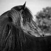 Estelle Cailly's photo