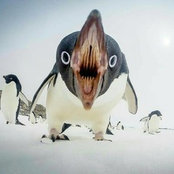 Foto de hoppeky