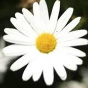 Daisy Aspromonti's photo