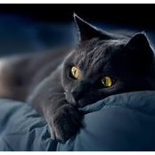 Ольга Петрова's photo