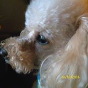 Cindy Sterling's photo