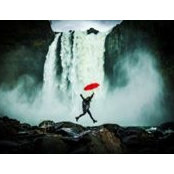 Amanda Kim's photo