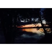 Rachel Brummer's photo