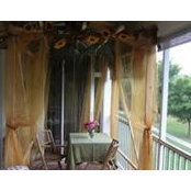 Andrea Sipe's photo
