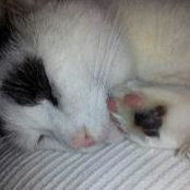 Emily Tredoux's photo