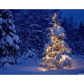 Margaret Briggette's photo
