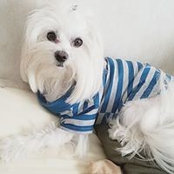 Lila Place's photo