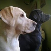 Foto de Mona Jamison