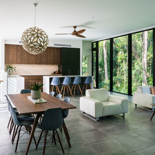 サンシャインコーストのコンテンポラリースタイルのLDKの画像 (白い壁、グレーの床)