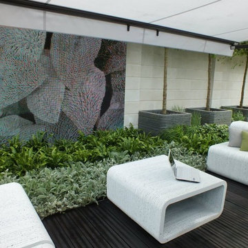 Contemporary Designs