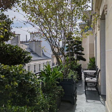 Jardin à la française : toit terrasse et balcon Haussmannien à Paris