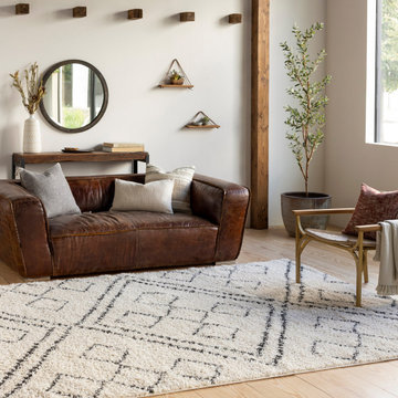 Beni Shag BSH-2331 Area Rug