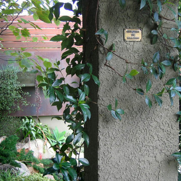 Garden for Reflection and Awareness