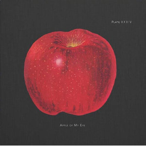 Danese Milano By Enzo Mari La Mela Red Apple Poster 1963 Modern Prints And Posters By Sportique Houzz