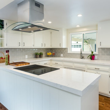 West Los Angeles Contemporary Kitchen Update