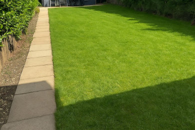 Premium Lawn Installation