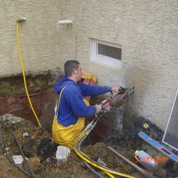 Finished Basements - Windows