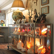 shell display