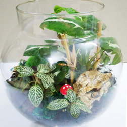 Petite Gardens: Woodland creatures - Products