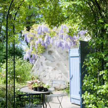 Fleurs et plantes extérieure