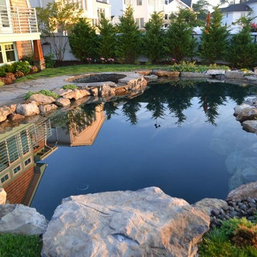 Using Pool and Pond Equipment Together (Merrick/NY):