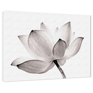 Lotus Flower Images Canvas Wall Art - Tinted Floral Nature Photo Print, 18" X 24"