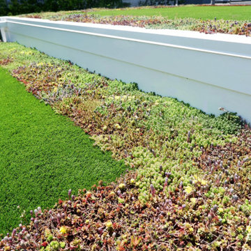 MIDCENTURY ROOFSCAPE