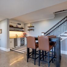Lower level family room