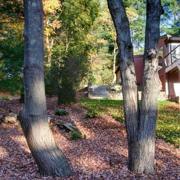 Woodland Garden