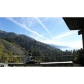 Amy Robinson's photo