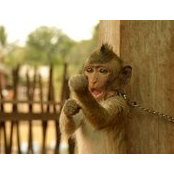 Mark Palmer's photo