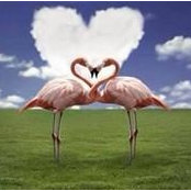 Sheri Gent's photo