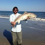 Hugh Allston's photo