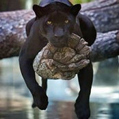 Christy Coker's photo