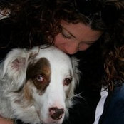 Lisa O'Halloran's photo