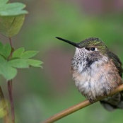 Manish Dadhania's photo