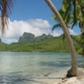 Kim Joosten's photo