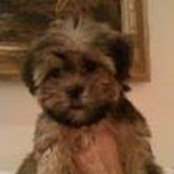 Renee Leotta's photo