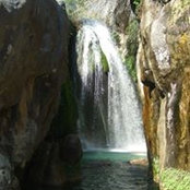 Julia Mackenzie's photo
