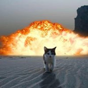 Foto de Toby Catlin