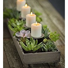 diana_wilson79's ideas