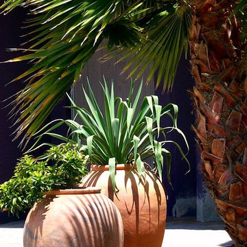 MEXICAN CONTEMPORARY