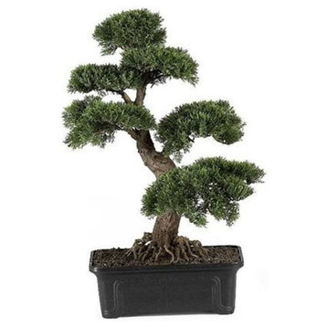 24" Cedar Bonsai Silk Plant