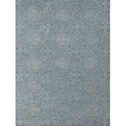 Transitional Area Rugs by Amer Rugs Inc.