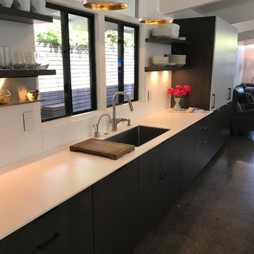 Mid-century Kitchen Remodel