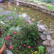 Landscape Ideas