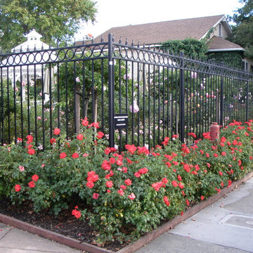 Landscape Design & Installation