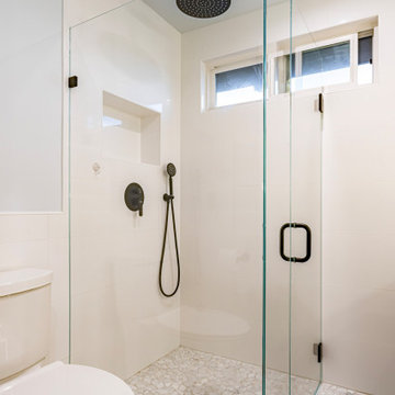 Master Bathroom Remodel - Venice