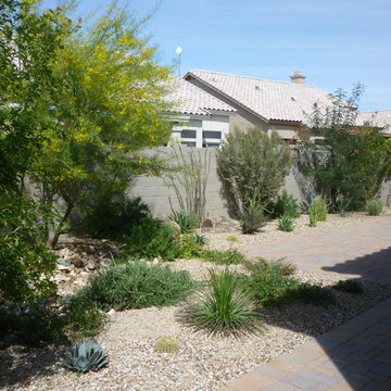 Plantings - 1.5 Years