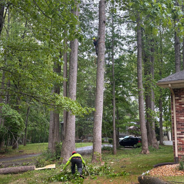 Complete Outdoor Property Improvement and Tree Service